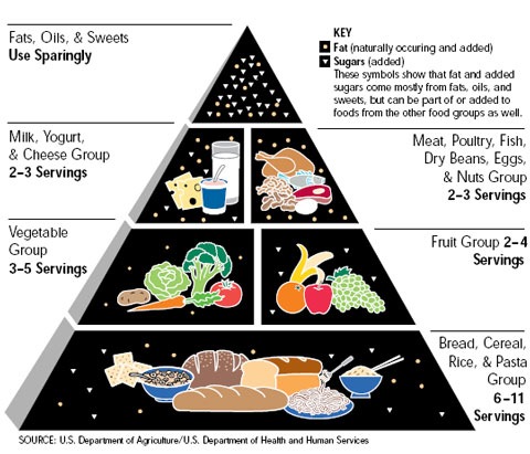 Healthy+diet+pyramid+australia